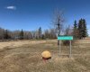 3004 Township Rd. 765, Peoria, Alberta T0H 3P0, ,Land,For Sale,Township Rd. 765,A2268865