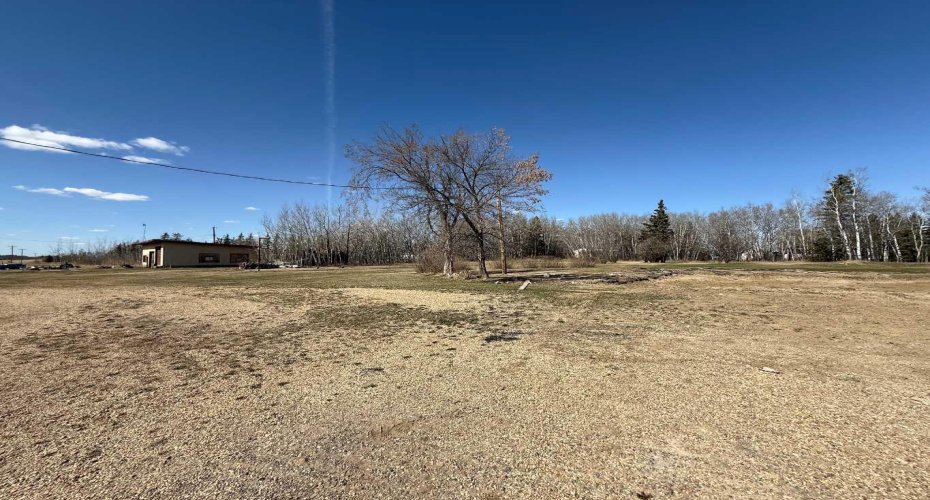 3004 Township Rd. 765, Peoria, Alberta T0H 3P0, ,Land,For Sale,Township Rd. 765,A2268865