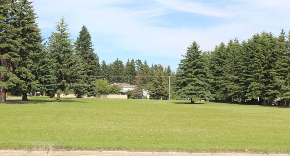 4022 4 Avenue, Edson, Alberta T7E 1B6, ,Land,For Sale,4 Avenue,A2220047