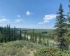 75.50 Acres North Springbank 5;3;25;28;SE, Rural Rocky View County, Alberta T3Z 3M2, ,Land,For Sale,North Springbank 5;3;25;28;SE,A2268464