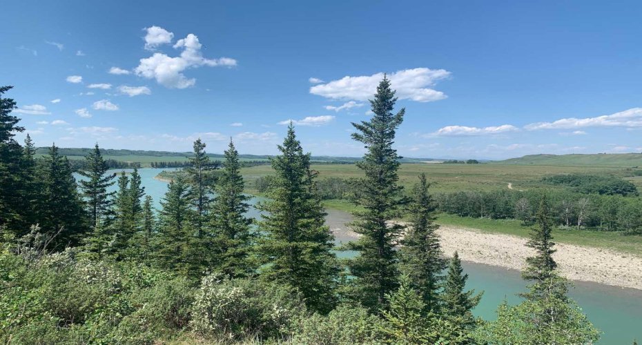 75.50 Acres North Springbank 5;3;25;28;SE, Rural Rocky View County, Alberta T3Z 3M2, ,Land,For Sale,North Springbank 5;3;25;28;SE,A2268464