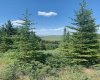 75.50 Acres North Springbank 5;3;25;28;SE, Rural Rocky View County, Alberta T3Z 3M2, ,Land,For Sale,North Springbank 5;3;25;28;SE,A2268464