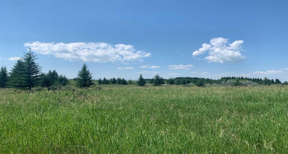 75.50 Acres North Springbank 5;3;25;28;SE, Rural Rocky View County, Alberta T3Z 3M2, ,Land,For Sale,North Springbank 5;3;25;28;SE,A2268464