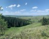 75.50 Acres North Springbank 5;3;25;28;SE, Rural Rocky View County, Alberta T3Z 3M2, ,Land,For Sale,North Springbank 5;3;25;28;SE,A2268464