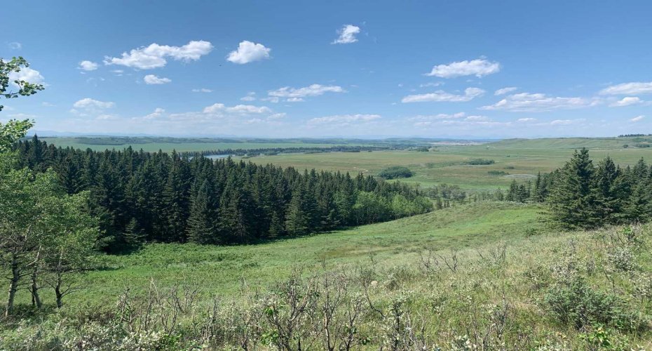 75.50 Acres North Springbank 5;3;25;28;SE, Rural Rocky View County, Alberta T3Z 3M2, ,Land,For Sale,North Springbank 5;3;25;28;SE,A2268464