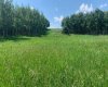 75.50 Acres North Springbank 5;3;25;28;SE, Rural Rocky View County, Alberta T3Z 3M2, ,Land,For Sale,North Springbank 5;3;25;28;SE,A2268464