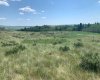 75.50 Acres North Springbank 5;3;25;28;SE, Rural Rocky View County, Alberta T3Z 3M2, ,Land,For Sale,North Springbank 5;3;25;28;SE,A2268464