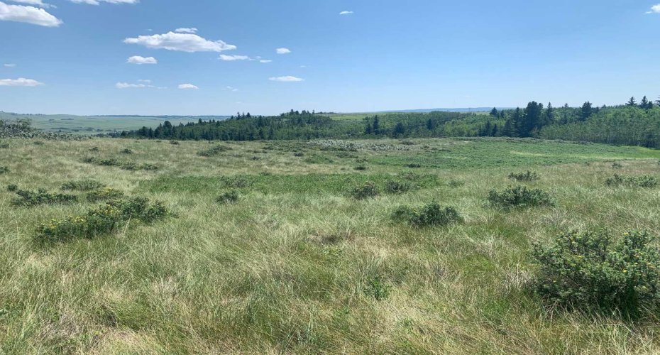 75.50 Acres North Springbank 5;3;25;28;SE, Rural Rocky View County, Alberta T3Z 3M2, ,Land,For Sale,North Springbank 5;3;25;28;SE,A2268464