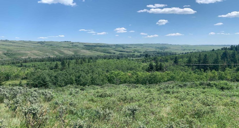 75.50 Acres North Springbank 5;3;25;28;SE, Rural Rocky View County, Alberta T3Z 3M2, ,Land,For Sale,North Springbank 5;3;25;28;SE,A2268464