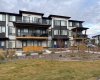 10060 46 Street, Calgary, Alberta T3J2H8, 1 Bedroom Bedrooms, ,1 BathroomBathrooms,Residential,For Sale,46,A2268486