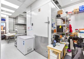 4250 109 Avenue, Calgary, Alberta T3N 1Z3, ,Commercial,For Sale,109,A2269213