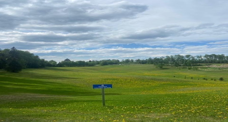 6 Hidden Valley Close, Rural Clearwater County, Alberta T4T 2A4, ,Land,For Sale,Hidden Valley,A2270990