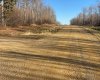 223 Range, Rural Northern Lights, County of, Alberta T8S 1S3, ,Land,For Sale,223,A2271797