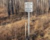 223 Range, Rural Northern Lights, County of, Alberta T8S 1S3, ,Land,For Sale,223,A2271797