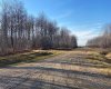 223 Range, Rural Northern Lights, County of, Alberta T8S 1S3, ,Land,For Sale,223,A2271799