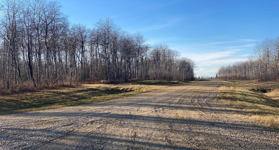 223 Range, Rural Northern Lights, County of, Alberta T8S 1S3, ,Land,For Sale,223,A2271799