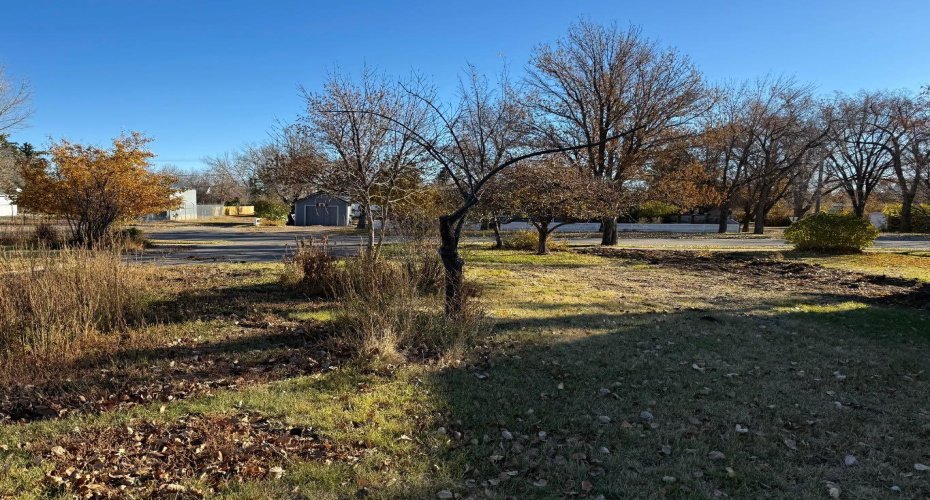 410 Grand Avenue, Carmangay, Alberta T0L0N0, ,Land,For Sale,Grand,A2272042
