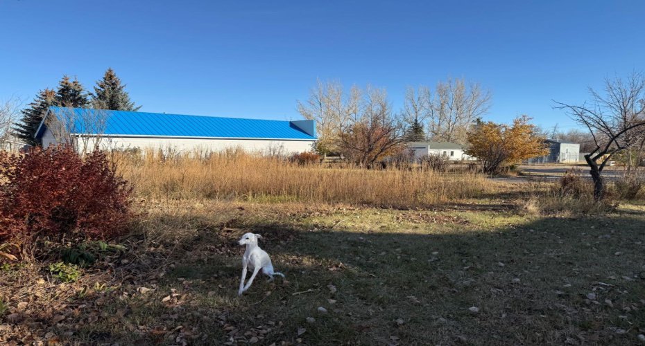 410 Grand Avenue, Carmangay, Alberta T0L0N0, ,Land,For Sale,Grand,A2272042