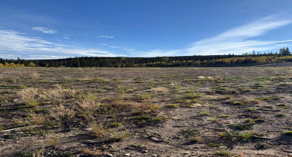 125 Nordegg Industrial Drive, Nordegg, Alberta T0M 2H0, ,Land,For Sale,Nordegg Industrial,A2272148