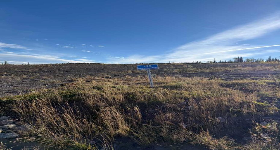 125 Nordegg Industrial Drive, Nordegg, Alberta T0M 2H0, ,Land,For Sale,Nordegg Industrial,A2272148