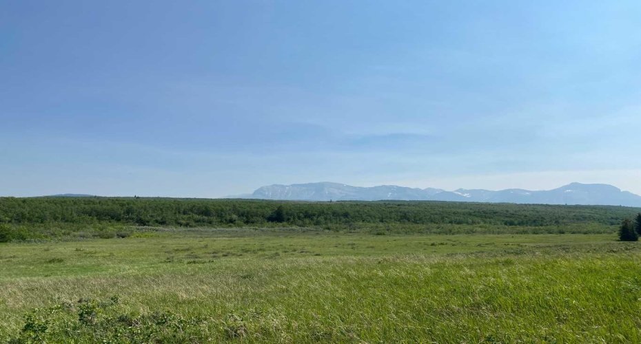 Hwy 5, Rural Cardston County, Alberta T0K 0A0, ,Land,For Sale,Hwy 5,A2271352