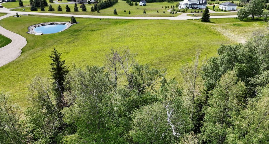 21 HIDDEN VALLEY CLOSE, Rural Clearwater County, Alberta T4T2A2, ,Land,For Sale,HIDDEN VALLEY CLOSE,A2271647
