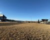 202 Royal Oak Lane, Rural Vulcan County, Alberta T0L 0R0, ,Land,For Sale,Royal Oak,A2272552