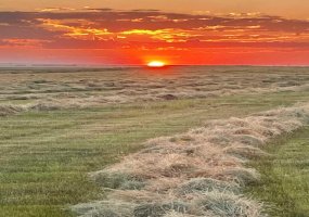 Hwy 23, Rural Foothills County, Alberta T0L 0J0, ,Land,For Sale,Hwy 23,A2272657