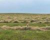 Hwy 23, Rural Foothills County, Alberta T0L 0J0, ,Land,For Sale,Hwy 23,A2272657