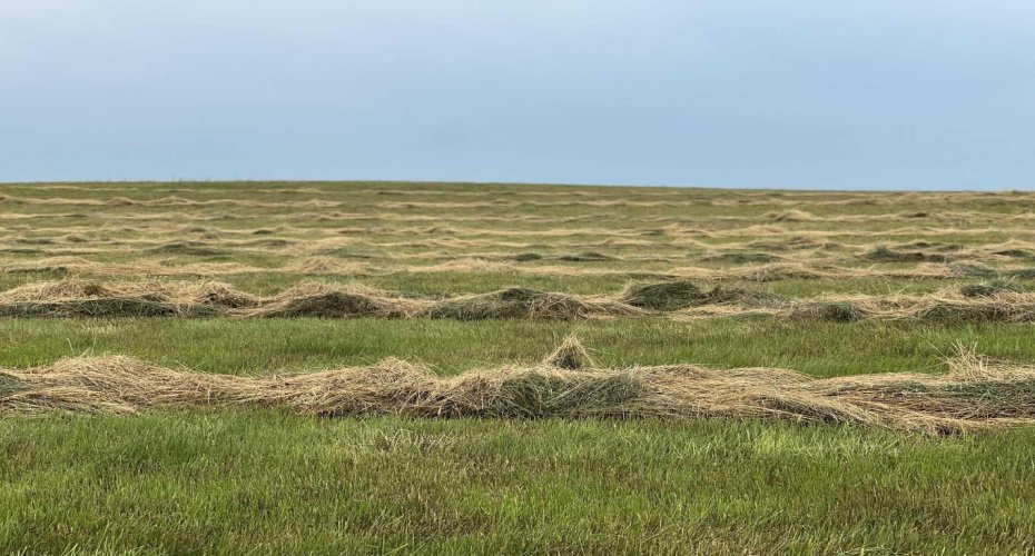 Hwy 23, Rural Foothills County, Alberta T0L 0J0, ,Land,For Sale,Hwy 23,A2272657