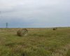 Hwy 23, Rural Foothills County, Alberta T0L 0J0, ,Land,For Sale,Hwy 23,A2272657