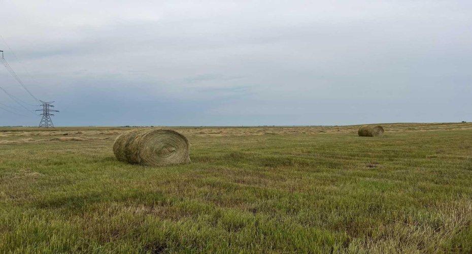 Hwy 23, Rural Foothills County, Alberta T0L 0J0, ,Land,For Sale,Hwy 23,A2272657