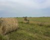 Hwy 23, Rural Foothills County, Alberta T0L 0J0, ,Land,For Sale,Hwy 23,A2272657