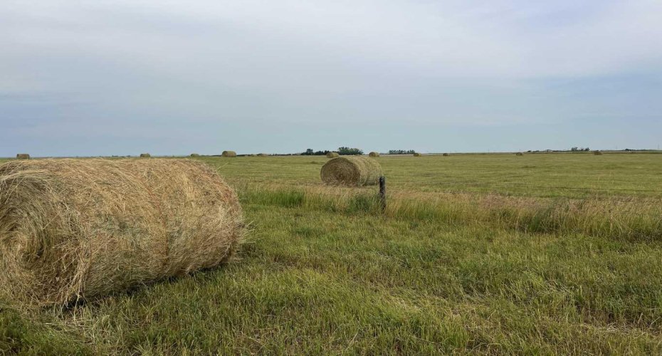 Hwy 23, Rural Foothills County, Alberta T0L 0J0, ,Land,For Sale,Hwy 23,A2272657