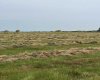 Hwy 23, Rural Foothills County, Alberta T0L 0J0, ,Land,For Sale,Hwy 23,A2272657