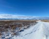 206 Railway Street, Pincher Station, Alberta T0K 1W0, ,Land,For Sale,Railway Street,A2272949
