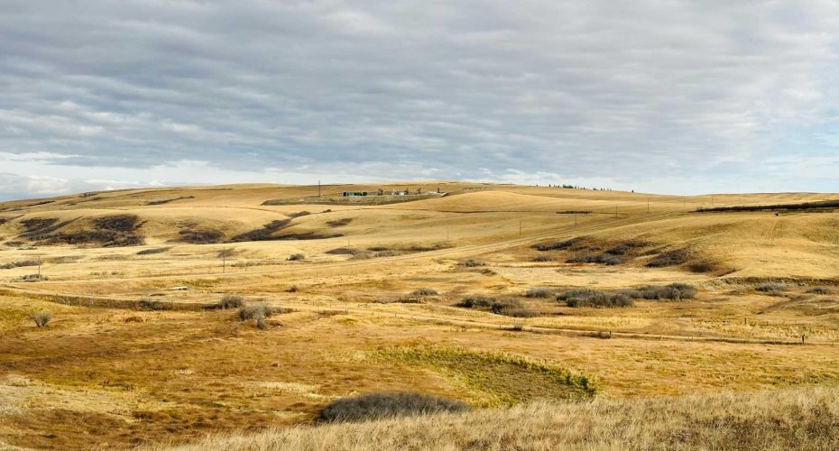 NE-S11-T30-R19-w4, Rural Starland County, Alberta T0J 0Y0, ,Land,For Sale,NE-S11-T30-R19-w4,A2272176