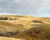 NE-S11-T30-R19-w4, Rural Starland County, Alberta T0J 0Y0, ,Land,For Sale,NE-S11-T30-R19-w4,A2272176