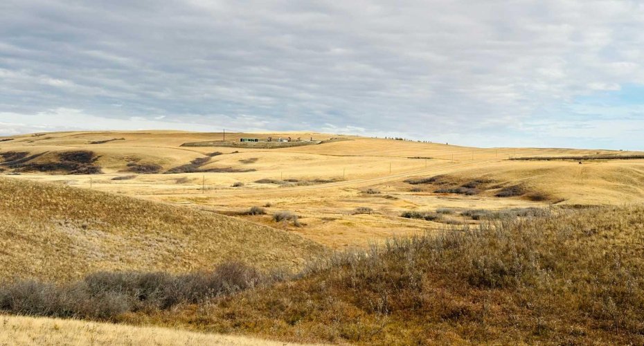 NE-S11-T30-R19-w4, Rural Starland County, Alberta T0J 0Y0, ,Land,For Sale,NE-S11-T30-R19-w4,A2272176