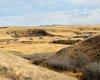 NE-S11-T30-R19-w4, Rural Starland County, Alberta T0J 0Y0, ,Land,For Sale,NE-S11-T30-R19-w4,A2272176