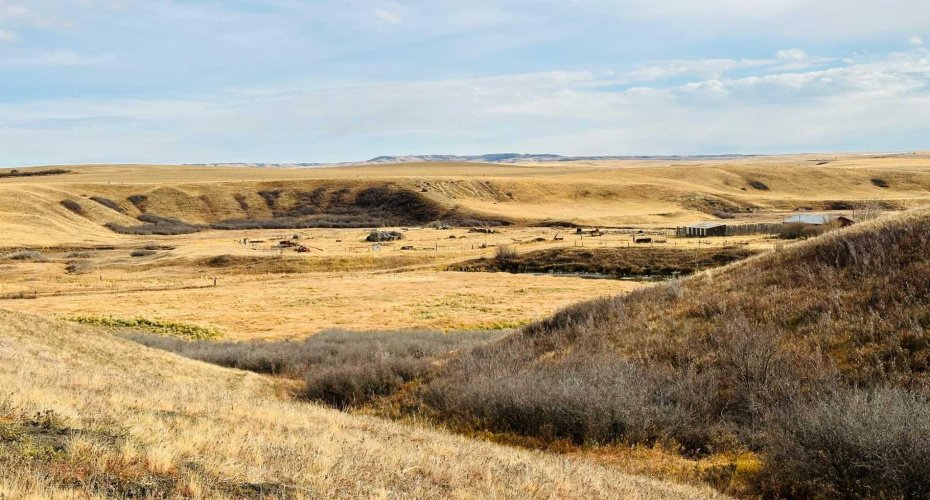 NE-S11-T30-R19-w4, Rural Starland County, Alberta T0J 0Y0, ,Land,For Sale,NE-S11-T30-R19-w4,A2272176