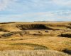 NE-S11-T30-R19-w4, Rural Starland County, Alberta T0J 0Y0, ,Land,For Sale,NE-S11-T30-R19-w4,A2272176