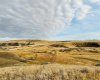 NE-S11-T30-R19-w4, Rural Starland County, Alberta T0J 0Y0, ,Land,For Sale,NE-S11-T30-R19-w4,A2272176