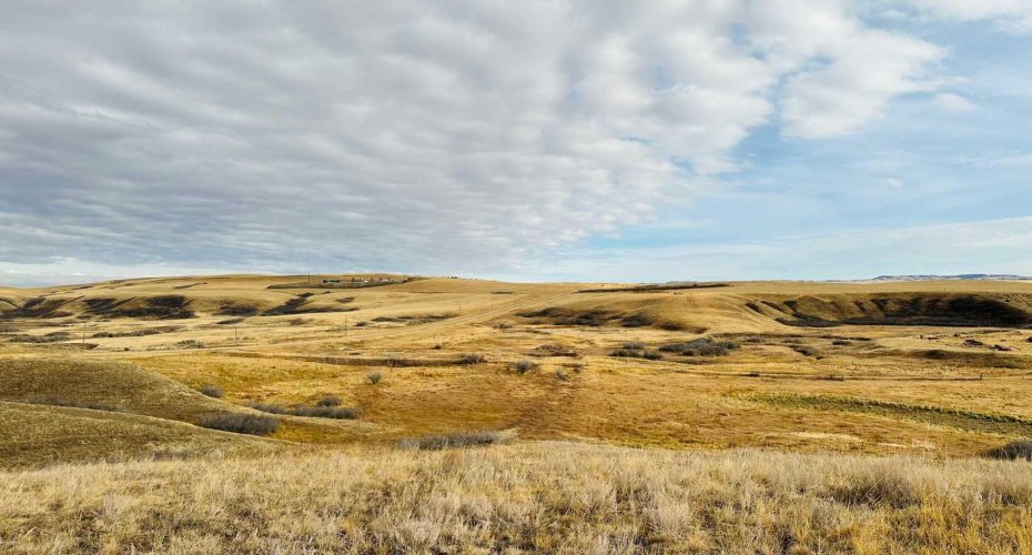 NE-S11-T30-R19-w4, Rural Starland County, Alberta T0J 0Y0, ,Land,For Sale,NE-S11-T30-R19-w4,A2272176