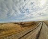 NE-S11-T30-R19-w4, Rural Starland County, Alberta T0J 0Y0, ,Land,For Sale,NE-S11-T30-R19-w4,A2272176