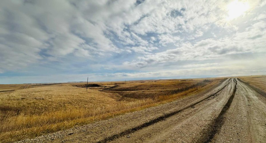 NE-S11-T30-R19-w4, Rural Starland County, Alberta T0J 0Y0, ,Land,For Sale,NE-S11-T30-R19-w4,A2272176