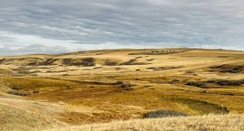 NE-S11-T30-R19-w4, Rural Starland County, Alberta T0J 0Y0, ,Land,For Sale,NE-S11-T30-R19-w4,A2272176