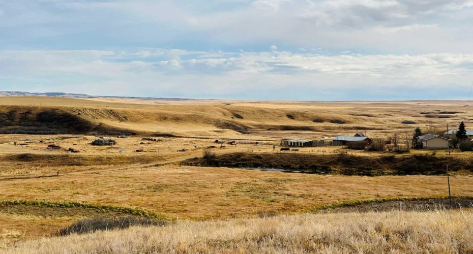 NE-S11-T30-R19-w4, Rural Starland County, Alberta T0J 0Y0, ,Land,For Sale,NE-S11-T30-R19-w4,A2272176