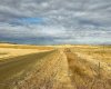 NE-S11-T30-R19-w4, Rural Starland County, Alberta T0J 0Y0, ,Land,For Sale,NE-S11-T30-R19-w4,A2272176