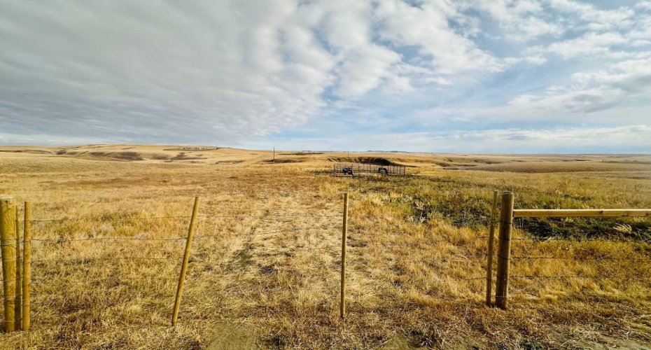 NE-S11-T30-R19-w4, Rural Starland County, Alberta T0J 0Y0, ,Land,For Sale,NE-S11-T30-R19-w4,A2272176